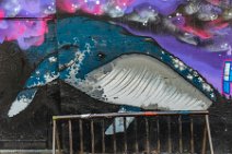 Graffiti - humpback whale - Vancouver - Canada Graffiti - humpback whale - Vancouver - Canada