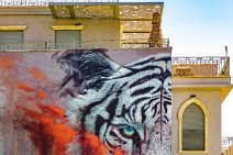 Graffiti from Florentine to Jaffa - Tel Aviv - Israel 79 Graffiti from Florentine to Jaffa - Tel Aviv - Israel 79.jpg