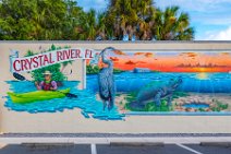Crystal River Wall Painting with heron and manatee - Florida - USA 1 Crystal River Wall Painting with heron and manatee - Florida - USA 1.jpg