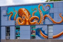 Octopus painting on a house wall - Crystal River - Florida - USA 1 Octopus painting on a house wall - Crystal River - Florida - USA 1.jpg