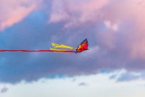 Butterfly kite in sunset light Butterfly kite in sunset light
