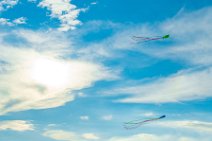 Kites in Blue Sky - Germany 01 Kites in Blue Sky - Germany 01.jpg