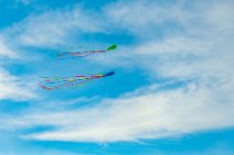 Kites in Blue Sky - Germany 02 Kites in Blue Sky - Germany 02.jpg