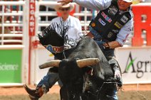 20110708_233424_Calgary_Stampede_RODEO