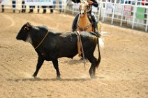 20110708_233551_Calgary_Stampede_RODEO