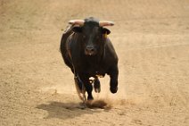 20110708_234145_Calgary_Stampede_RODEO