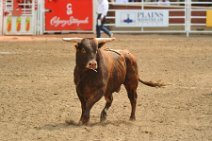 20110708_234420_Calgary_Stampede_RODEO