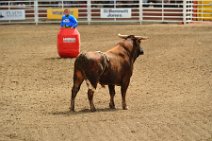 20110708_234426_Calgary_Stampede_RODEO