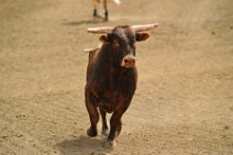 20110708_234430_Calgary_Stampede_RODEO
