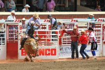 20110708_234640_Calgary_Stampede_RODEO