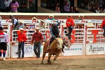 20110708_234643_Calgary_Stampede_RODEO