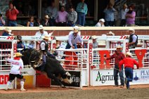 20110708_234823_Calgary_Stampede_RODEO