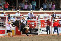 20110708_234824_Calgary_Stampede_RODEO