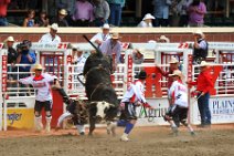 20110708_234835_Calgary_Stampede_RODEO