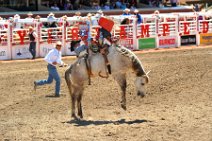 20110708_220529_Calgary_Stampede_RODEO