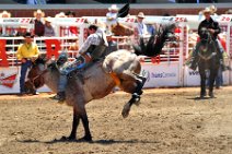 20110708_221017_Calgary_Stampede_RODEO