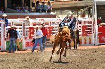 20110708_221258_Calgary_Stampede_RODEO