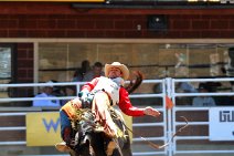 20110708_221414_Calgary_Stampede_RODEO_2