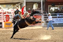 20110708_221416_Calgary_Stampede_RODEO