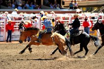 20110708_221645_Calgary_Stampede_RODEO