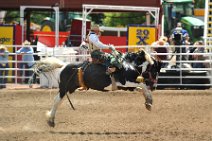 20110708_225857_Calgary_Stampede_RODEO