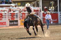 20110708_230001_Calgary_Stampede_RODEO_3