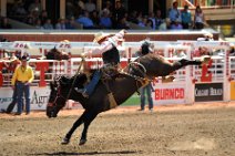 20110708_230003_Calgary_Stampede_RODEO