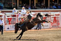 20110708_230003_Calgary_Stampede_RODEO_2