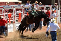 20110708_230734_Calgary_Stampede_RODEO
