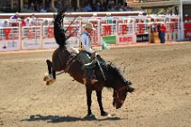 20110708_230737_Calgary_Stampede_RODEO_2