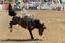 20110708_230739_Calgary_Stampede_RODEO_2