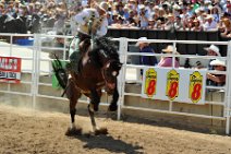 20110708_230744_Calgary_Stampede_RODEO