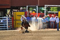 20110708_215122_Calgary_Stampede_RODEO
