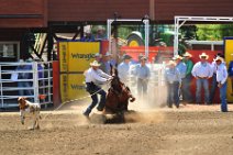 20110708_215123_Calgary_Stampede_RODEO