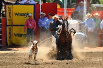 20110708_215717_Calgary_Stampede_RODEO