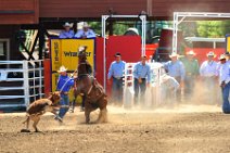 20110708_215828_Calgary_Stampede_RODEO