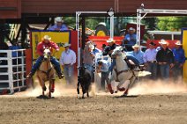 20110708_222420_Calgary_Stampede_RODEO
