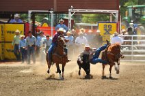20110708_223236_Calgary_Stampede_RODEO_3