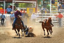 20110708_223237_Calgary_Stampede_RODEO