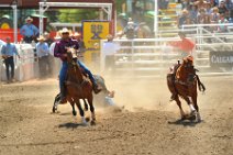 20110708_223237_Calgary_Stampede_RODEO_4