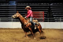 20110709_024520_Calgary_Stampede_Team_Cattle_Panning_Competition