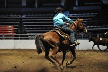 20110709_024608_Calgary_Stampede_Team_Cattle_Panning_Competition