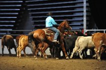 20110709_024611_Calgary_Stampede_Team_Cattle_Panning_Competition