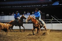 20110709_024623_Calgary_Stampede_Team_Cattle_Panning_Competition