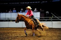 20110709_024741_Calgary_Stampede_Team_Cattle_Panning_Competition