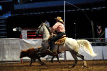 20110709_024744_Calgary_Stampede_Team_Cattle_Panning_Competition