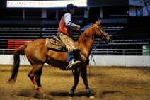 20110709_024827_Calgary_Stampede_Team_Cattle_Panning_Competition
