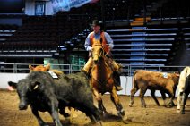 20110709_024837_Calgary_Stampede_Team_Cattle_Panning_Competition