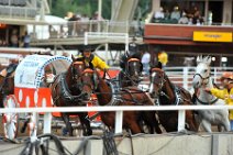 20110709_051608_Calgary_Stampede_Chuckwagon_Race