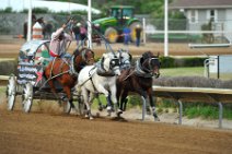 20110709_051710_Calgary_Stampede_Chuckwagon_Race